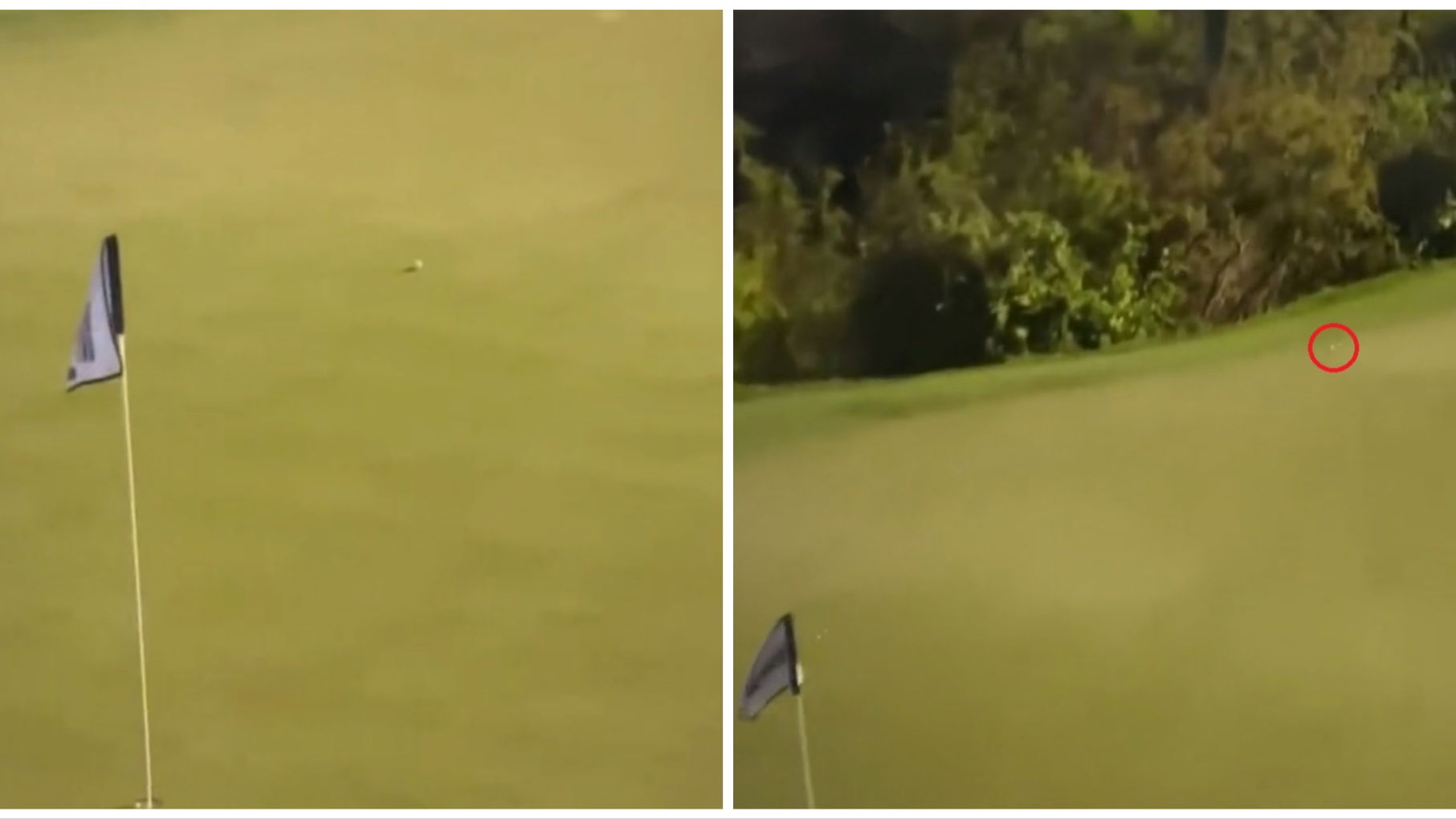 Tiger Woods' golf course described as 'embarrassing' after nightmare fuel clip